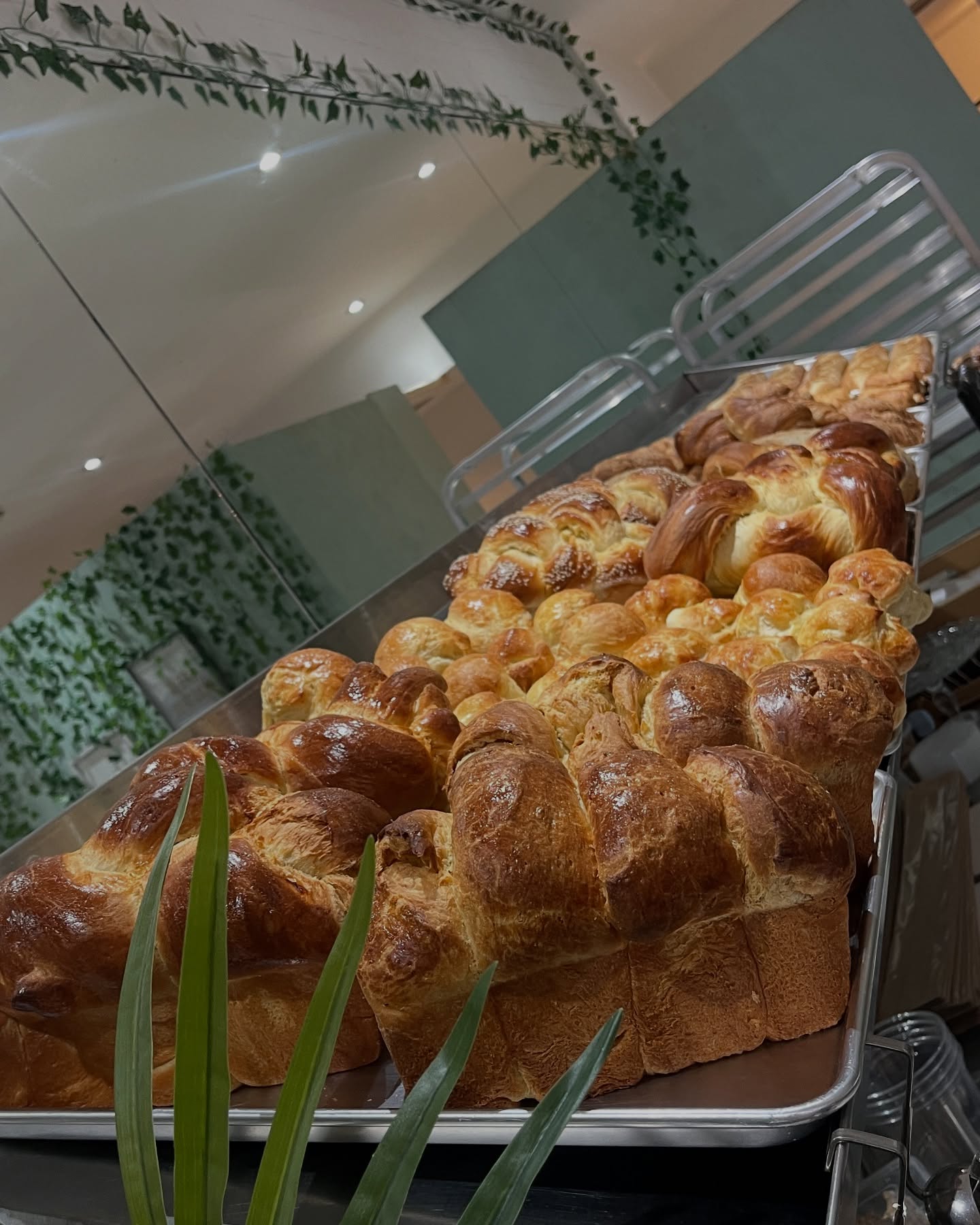 Golden challah bread loaves behind glass